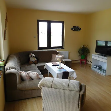 Apartment Zvezdica *
