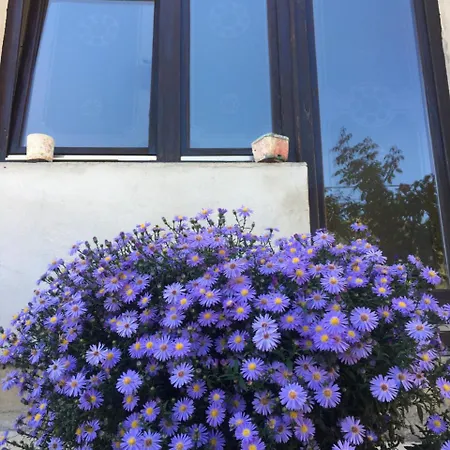 Apartament Zvezdica Bajina Basta