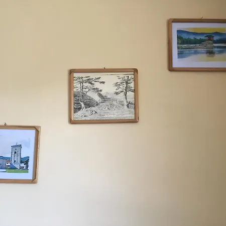 Zvezdica Bajina Basta
