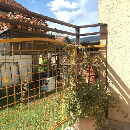 Zvezdica Апартаменты *