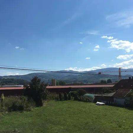 Zvezdica Bajina Basta