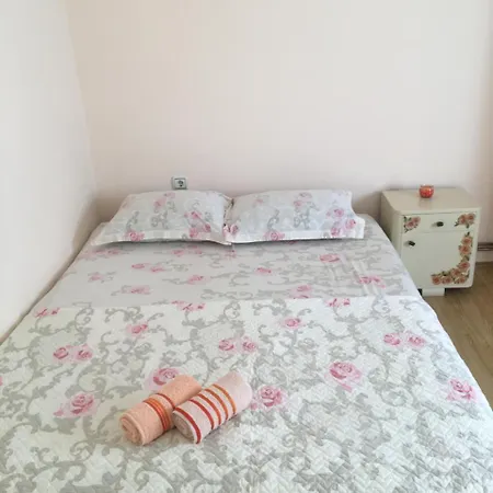 Zvezdica Bajina Basta