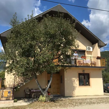 Zvezdica