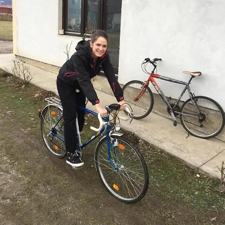 Zvezdica Bajina Basta