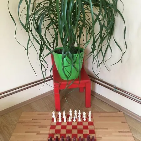 Zvezdica Apartment *