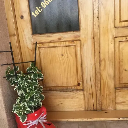 Zvezdica * Bajina Basta