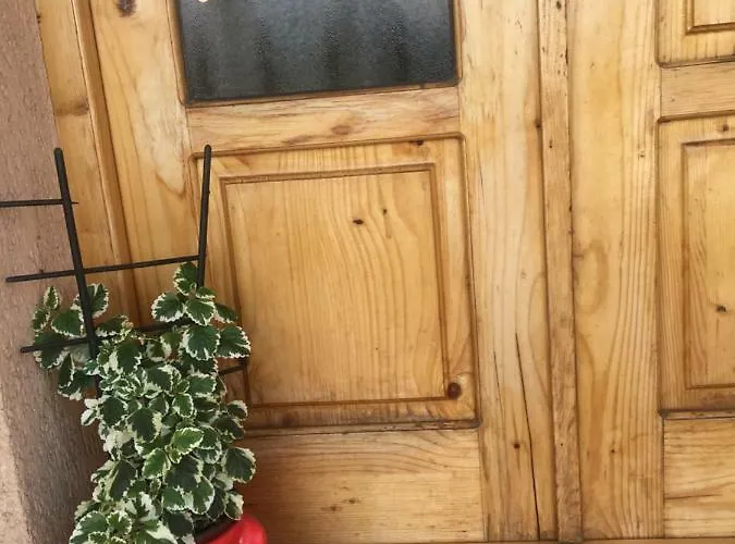 Zvezdica * 巴伊纳巴什塔