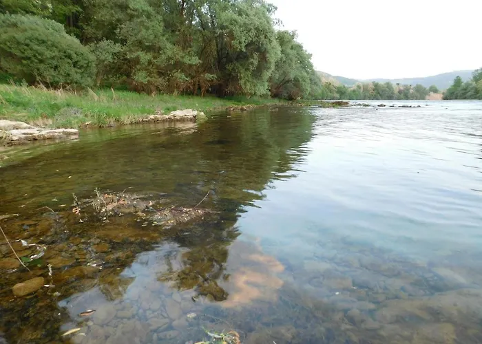 公寓 Zvezdica 巴伊纳巴什塔